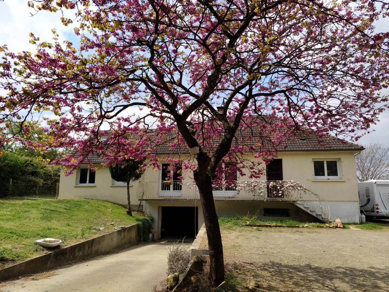 House à Coulaines