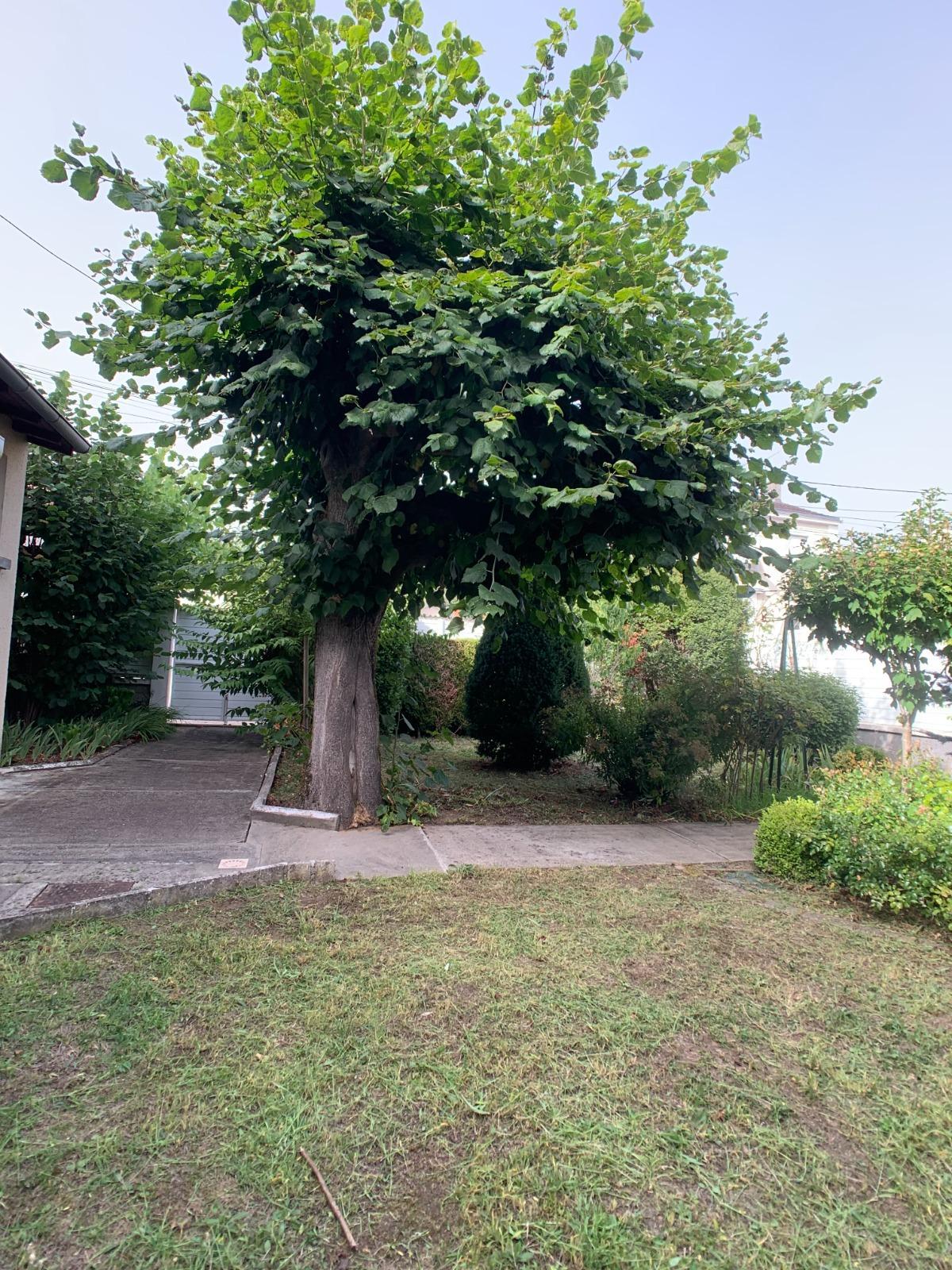 Maison à Périgueux — vignette 13