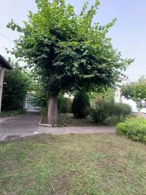 House à Périgueux — vignette 13