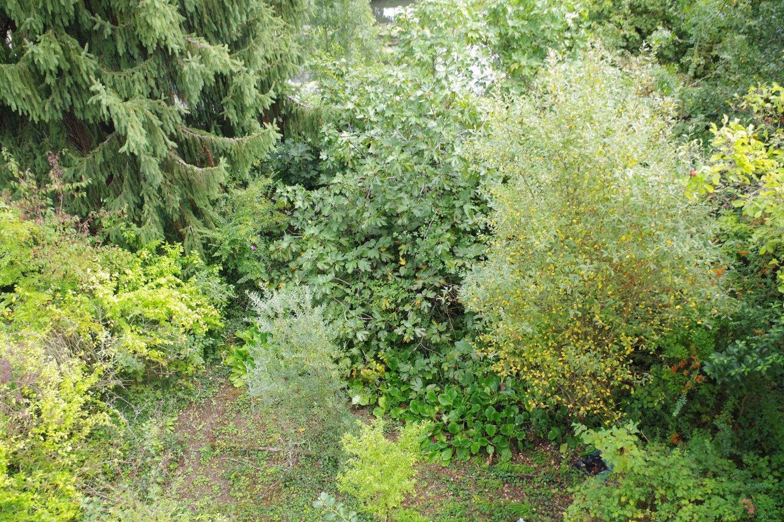 Maison à Coulounieix-Chamiers — vignette 17