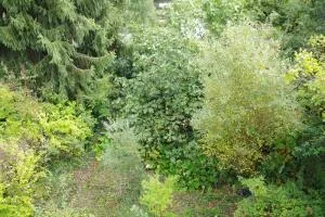 House à Coulounieix-Chamiers — vignette 17