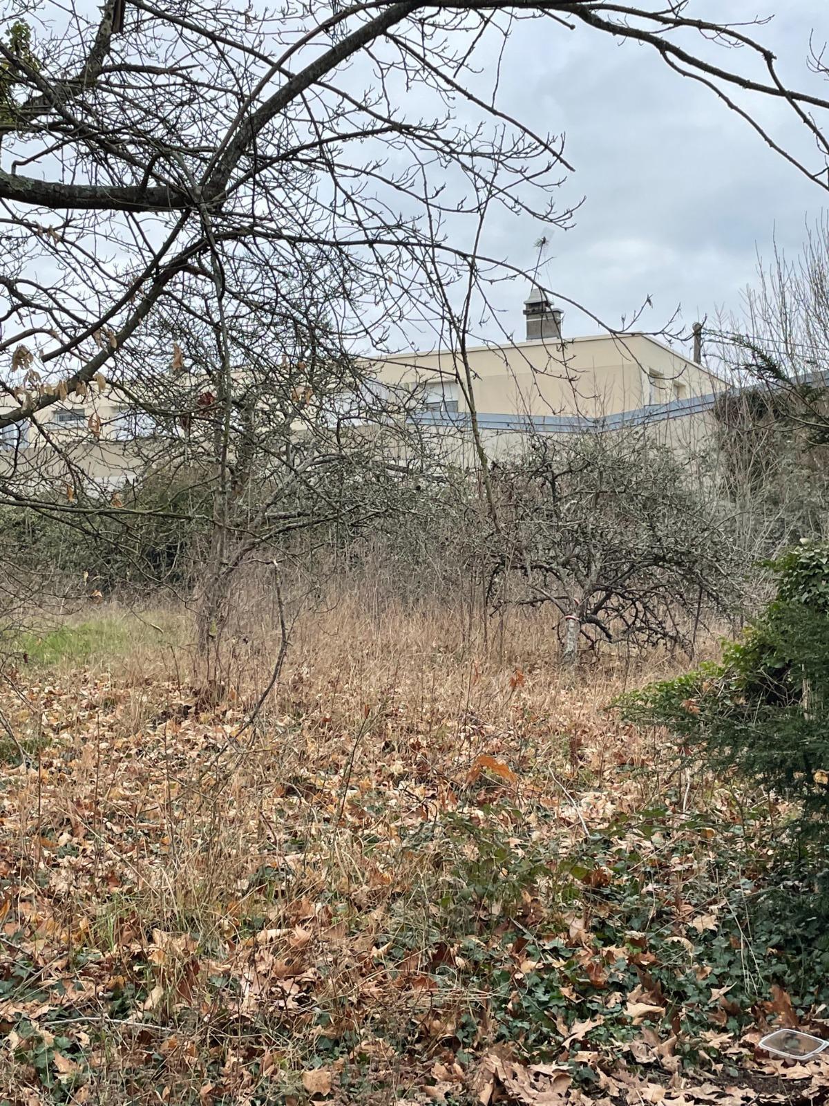 House à Breuillet — vignette 12