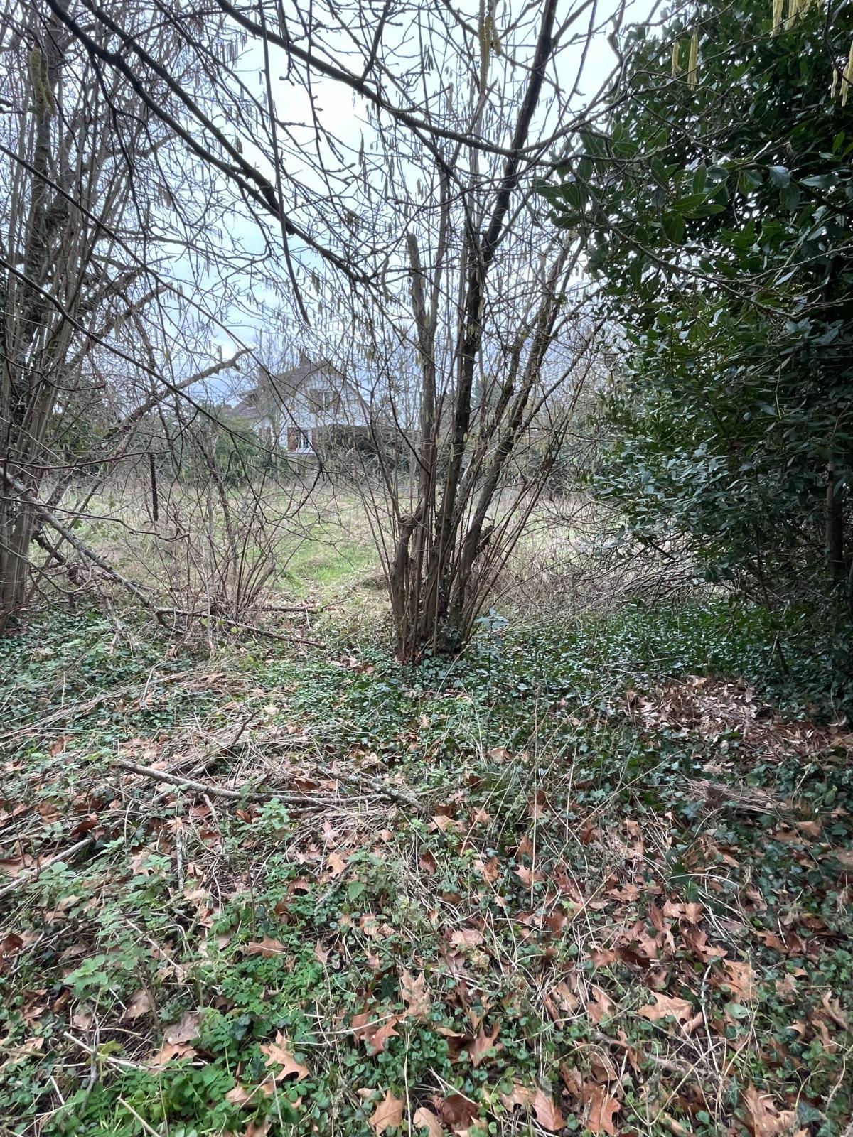 House à Breuillet — vignette 13