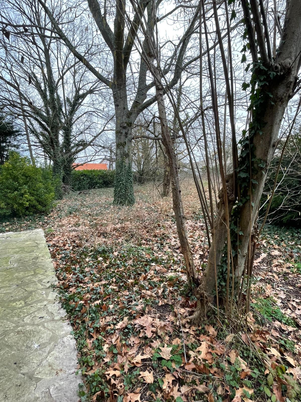 House à Breuillet — vignette 14
