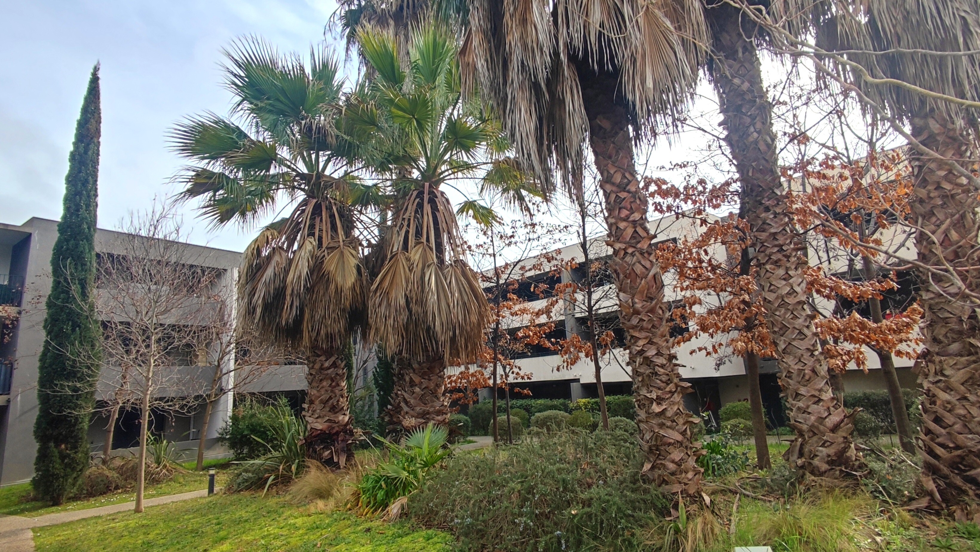 Apartment à Montpellier