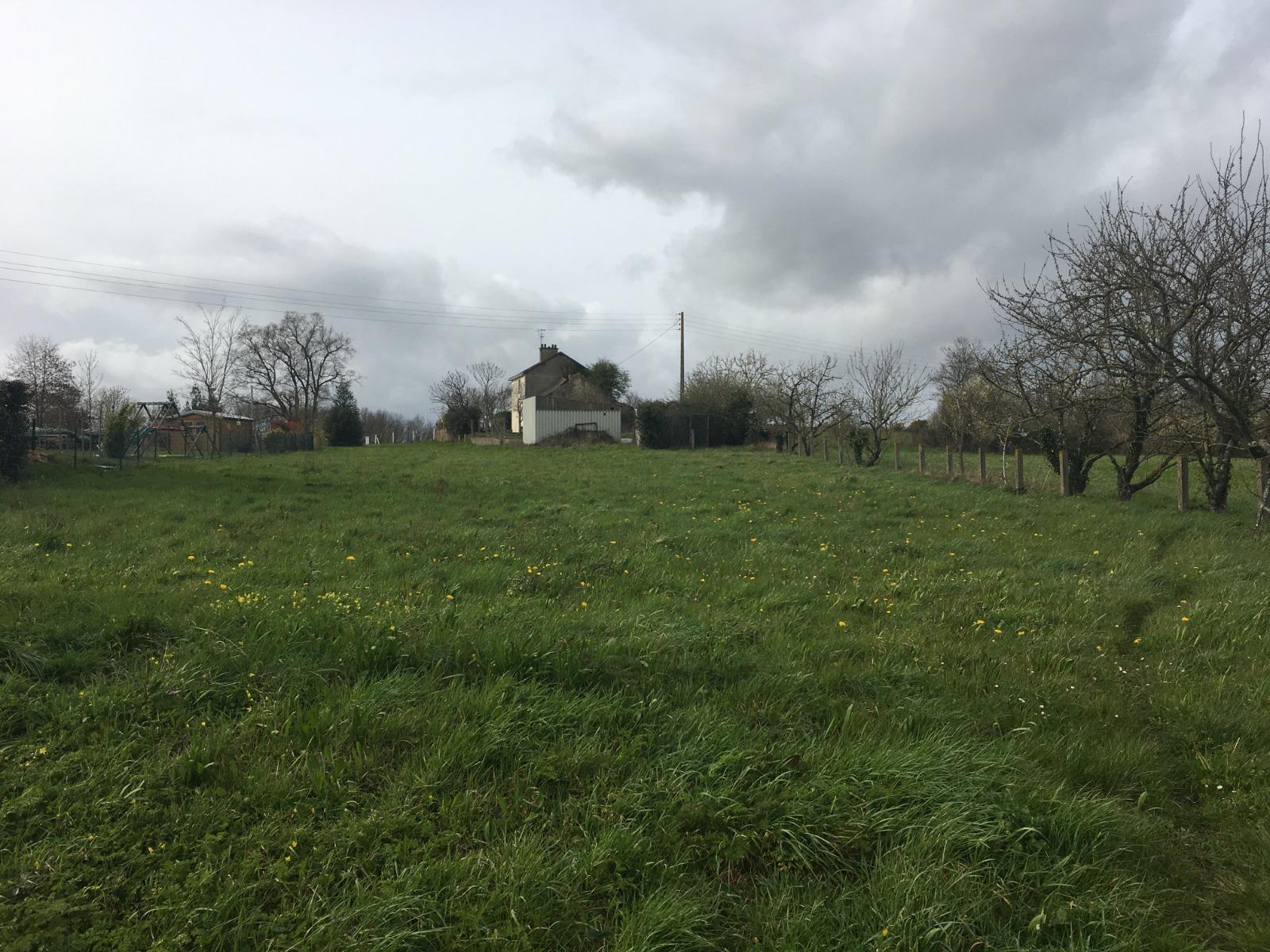 Terrain à Bâtir à Chalonnes-sur-Loire