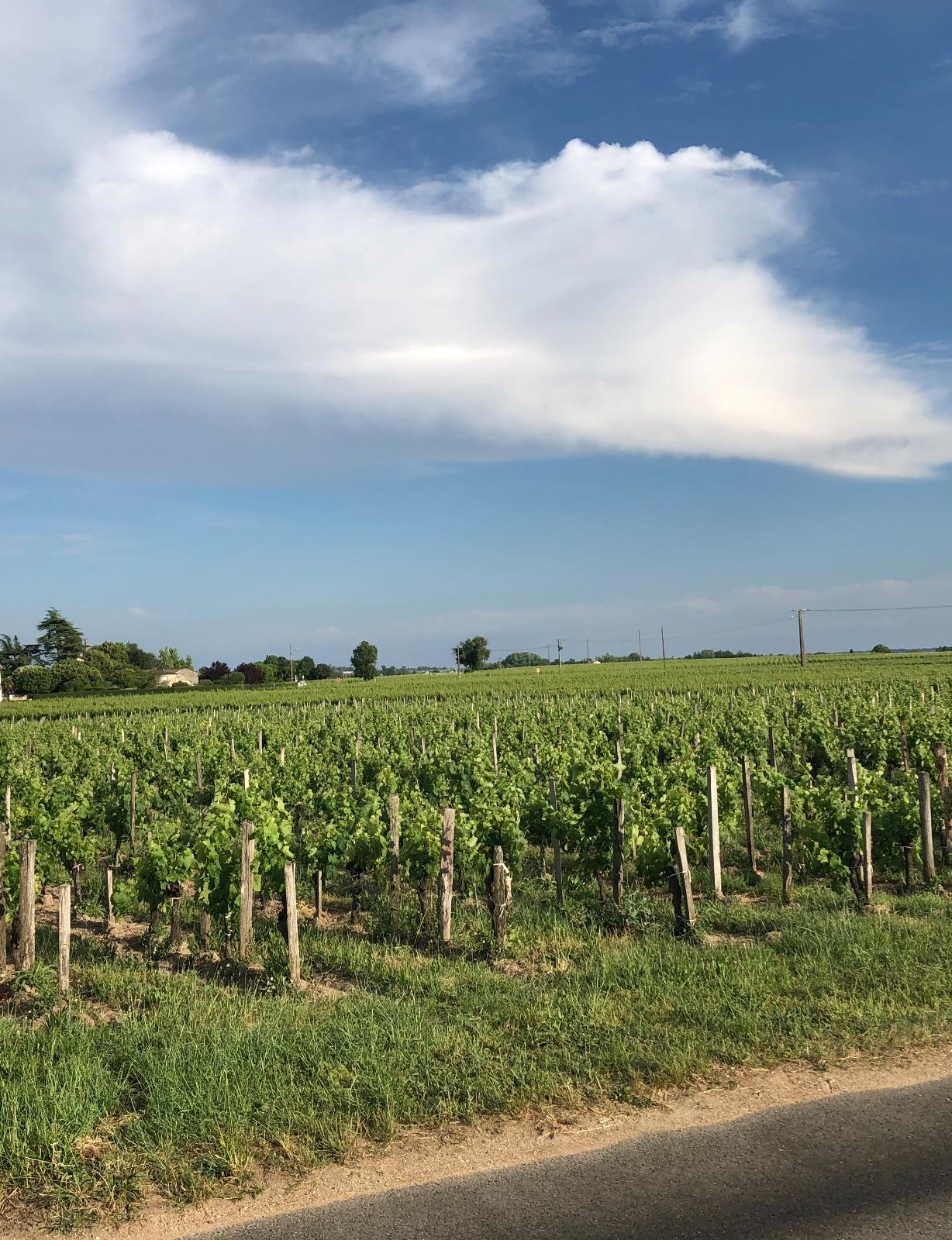 Bien Agricole à Pomerol
