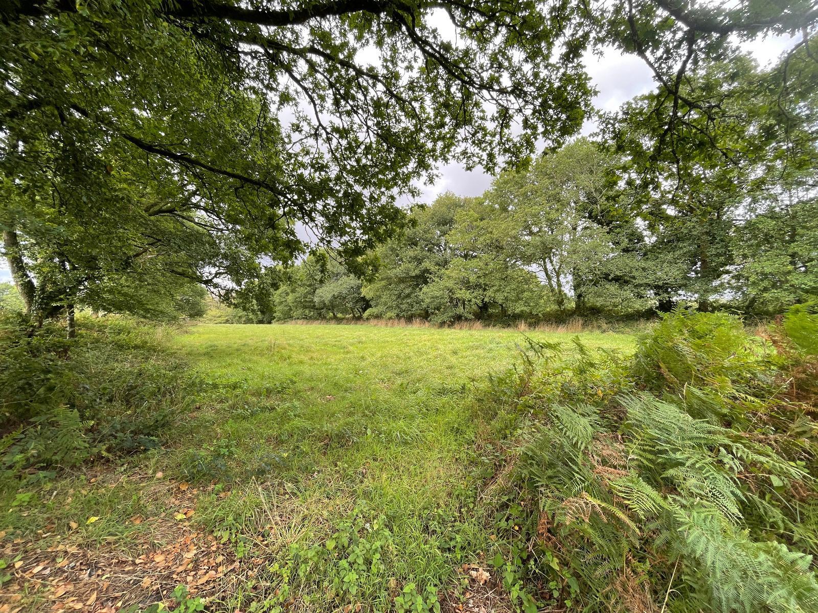 Terrain de Loisirs – Bois - Étang à Loqueffret