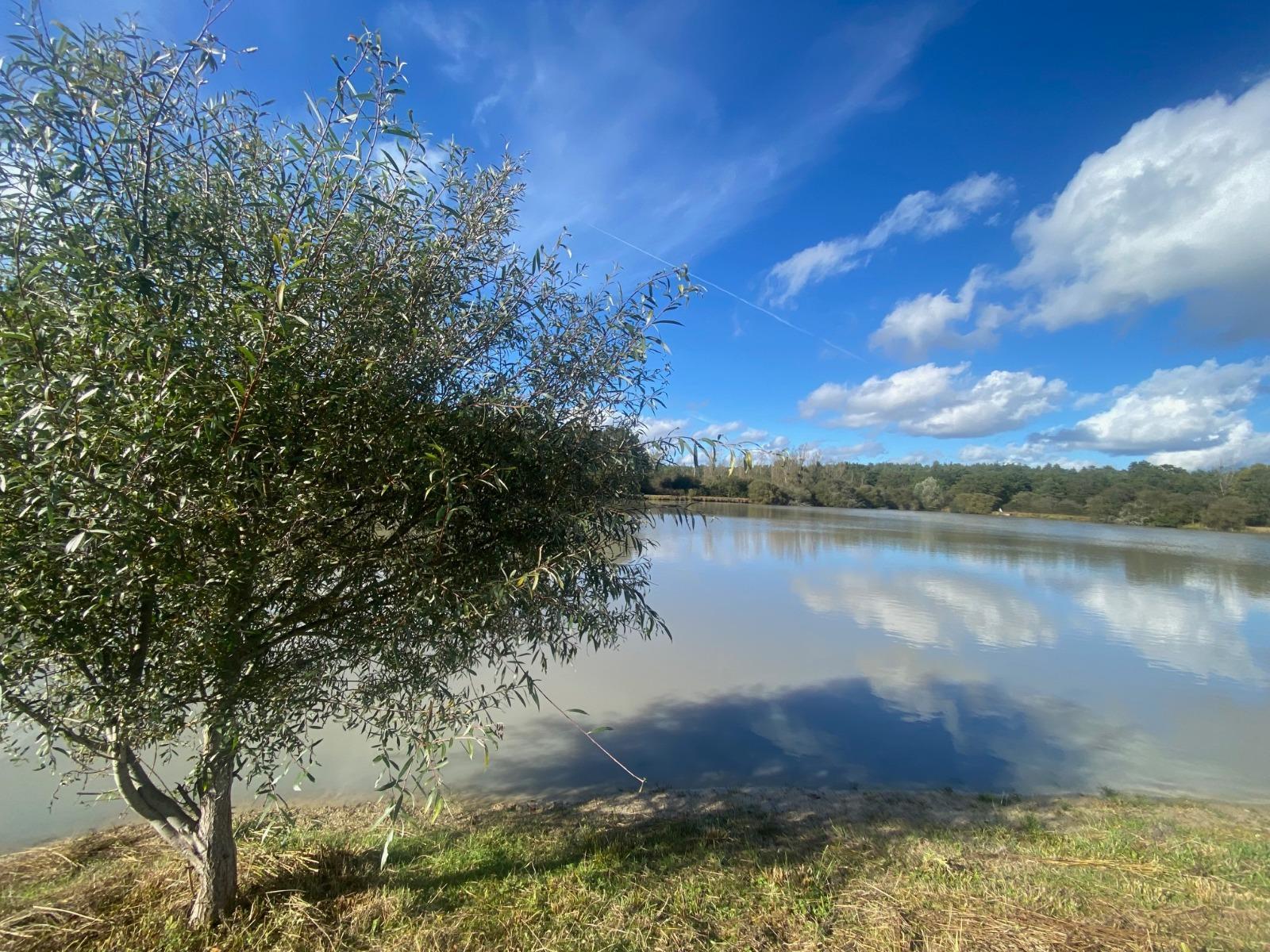 Terrain de Loisirs – Bois - Étang à Neung-sur-Beuvron