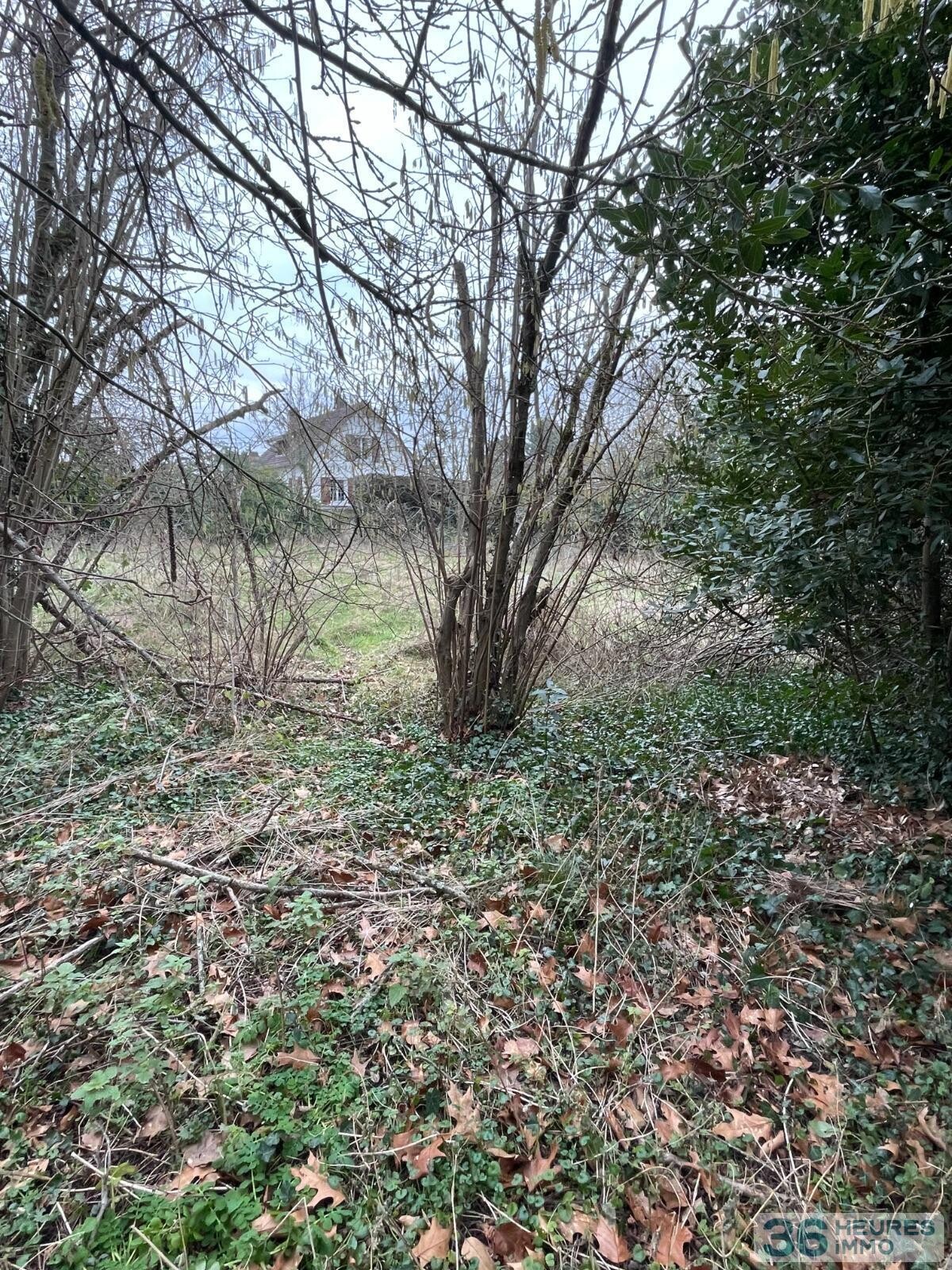 Maison + terrain d'environ 2800 m2 - Breuillet